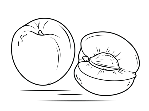 Nectarine And Cross Section Coloring Page